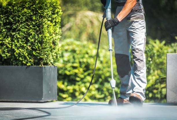 Best Roof Cleaning and Mildew Removal in Magnolia, TX