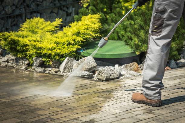 Best Commercial Pressure Washing in Magnolia, TX