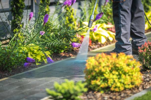 Best Residential Pressure Washing in Magnolia, TX