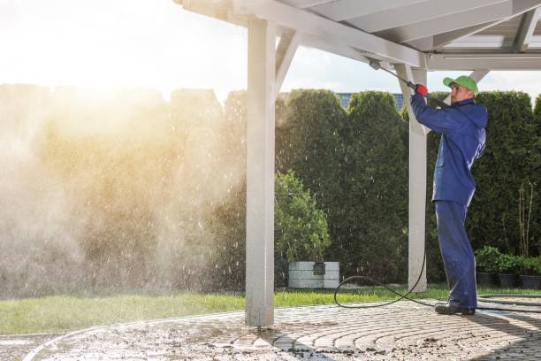 Best Concrete Surface Cleaning in Magnolia, TX