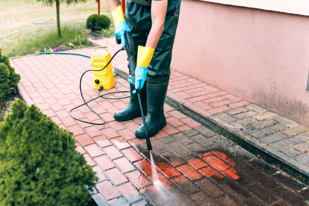 Best Pool Deck Cleaning in Magnolia, TX