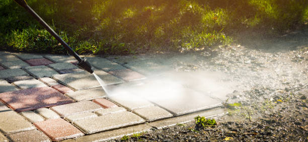 Best Driveway Cleaning and Restoration in Magnolia, TX