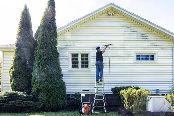 Best Soft Washing for Delicate Surfaces in Magnolia, TX